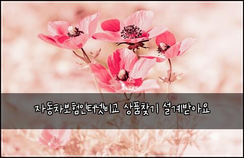 자동차보험인터넷비교 상품찾기 설계받아요
