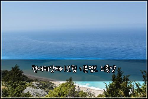 νλν΄μνμ보ν κΈ°λ³Έμ 보 λμ’
μ