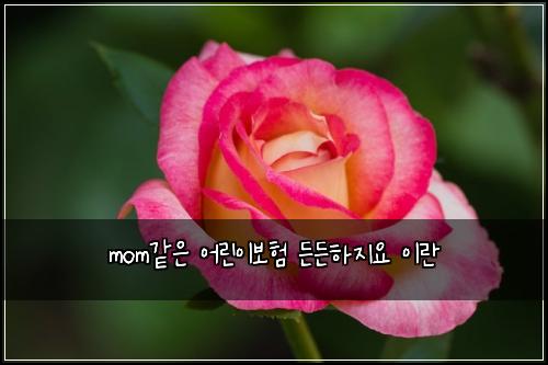 mom๊ฐ์ ์ด๋ฆฐ์ด๋ณดํ ๋ ๋ ํ์ง์ ์ด๋