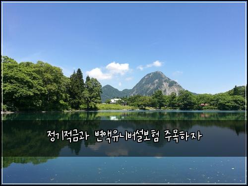 정기적금과 변액유니버설보험 주목하자 