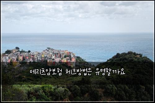 메리츠암보험 체크방법은  유명할까요