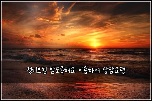 ์ ๊ธฐ๋ณดํ ๋ฐ๋๋กํด์ ์ด์ฉํ์ฌ ์๋ด์๋ น