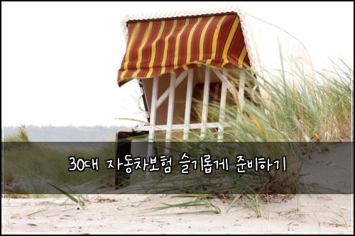 30대 자동차보험 슬기롭게 준비하기