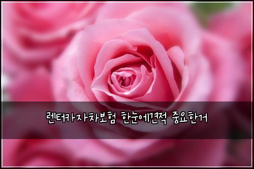 렌터카자차보험 한눈에견적  중요한거