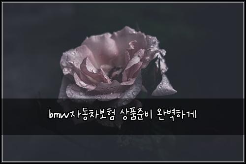 bmw자동차보험 상품준비  완벽하게