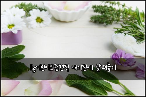 lig์ด๋ฆฐ์ด๋ณดํ๊ฒฌ์ ๋ด๊ธฐ์ ์ ์ดํด๋๊ธฐ