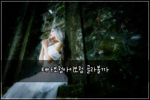 ํ์๋ณดํ์์ด๋ณดํ ๊ณจ๋ผ๋ณผ๊น