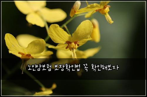๋
ธ์ธ์๋ณดํ ๋ณด์ฅํ์ธ๋ฒ ๊ผญ ํ์ธํด๋ณด์