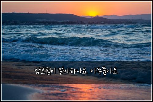 ์๋ณดํ๋น ์ผ๋งํ๋์ ์์ฃผ์ข์์