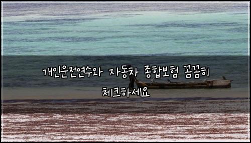 개인운전연수와 자동차 종합보험 꼼꼼히 체크하세요
