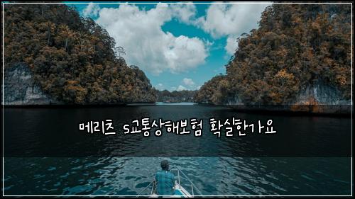 ๋ฉ๋ฆฌ์ธ s๊ตํต์ํด๋ณดํ ํ์คํ๊ฐ์