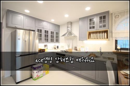 ace생명 상해보험 배워둬요 
