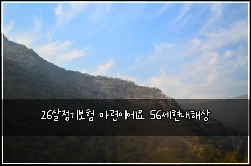 26살정기보험 마련이에요  56세현대해상