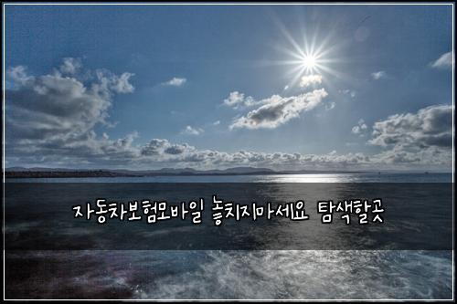 자동차보험모바일 놓치지마세요 탐색할곳