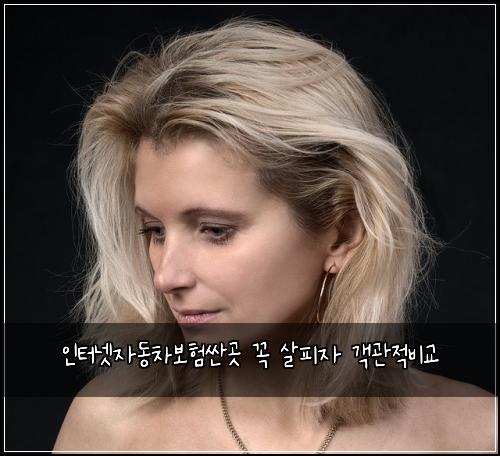 ์ธํฐ๋ท์๋์ฐจ๋ณดํ์ผ๊ณณ ๊ผญ ์ดํผ์ ๊ฐ๊ด์ ๋น๊ต