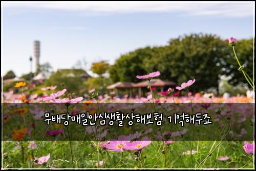 무배당매일안심생활상해보험 기억해두죠 