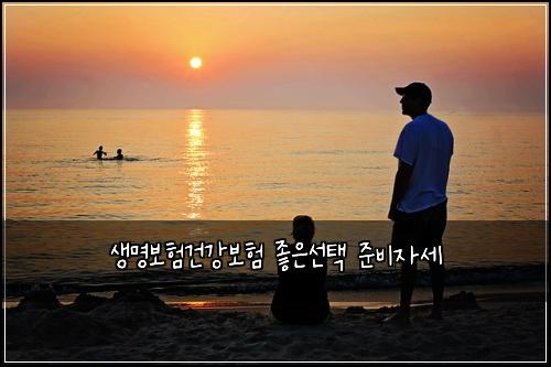 생명보험건강보험 좋은선택 준비자세