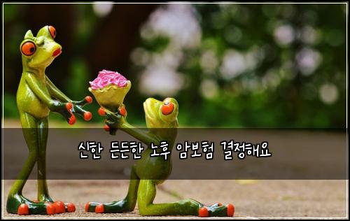 ์ ํ ๋ ๋ ํ ๋
ธํ ์๋ณดํ ๊ฒฐ์ ํด์
