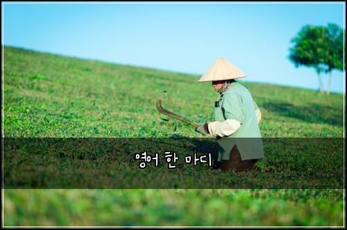 영어 한 마디