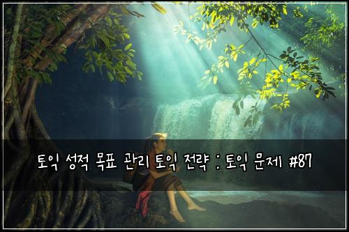 토익 성적 목표 관리 토익 전략 : 토익 문제 #87