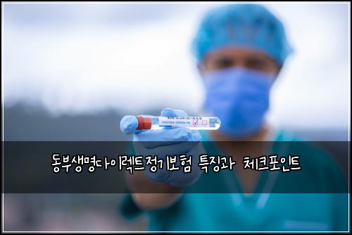 동부생명다이렉트정기보험 특징과 체크포인트