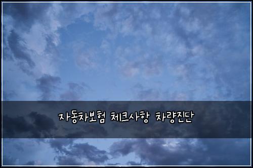 자동차보험 체크사항  차량진단