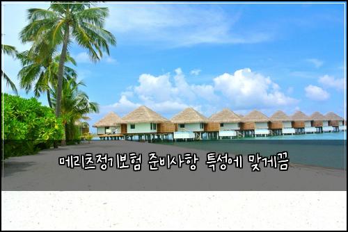 λ©λ¦¬μΈ μ 기보ν μ€λΉμ¬ν νΉμ±μ λ§κ²λ