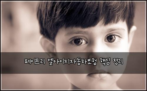 페이프리 엘아이지자동차보험 핵심 정리