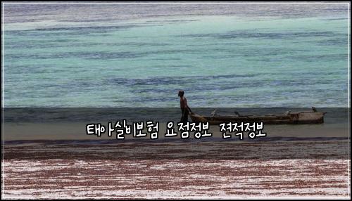νμμ€λΉλ³΄ν μμ μ 보 μ Όμ μ 보