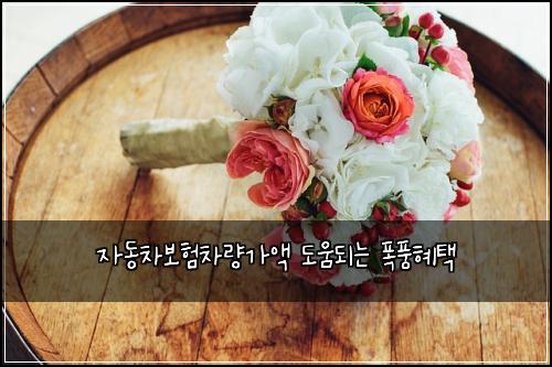 ์๋์ฐจ๋ณดํ์ฐจ๋๊ฐ์ก ๋์๋๋ ํญํํํ