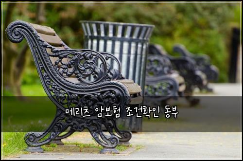 메리츠 암보험 조건확인  동부