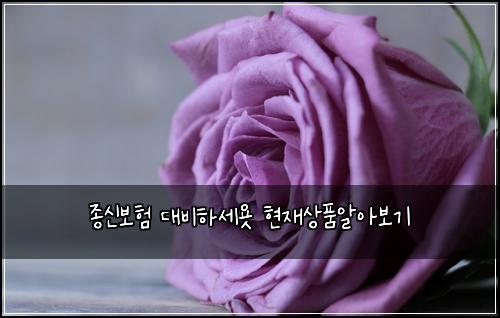์ข
์ ๋ณดํ ๋๋นํ์ธ์ง ํ์ฌ์ํ์์๋ณด๊ธฐ