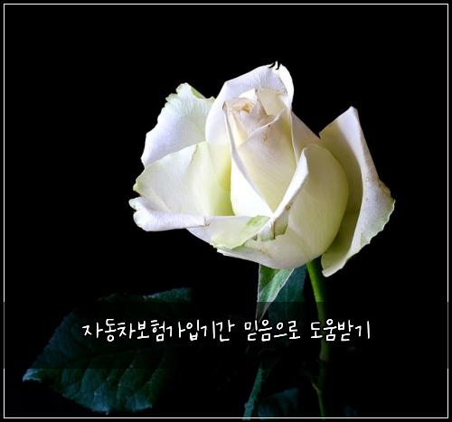 자동차보험가입기간 믿음으로 도움받기