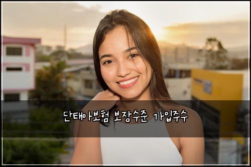 단태아보험 보장수준  가입주수