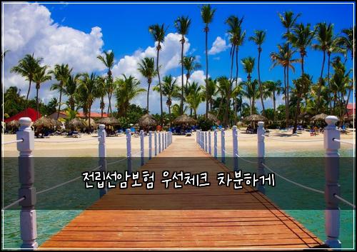 ์ ๋ฆฝ์ ์๋ณดํ ์ฐ์ ์ฒดํฌ ์ฐจ๋ถํ๊ฒ