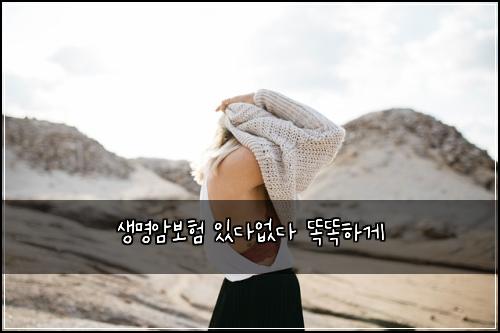 μλͺ
μ보ν μλ€μλ€ λλνκ²