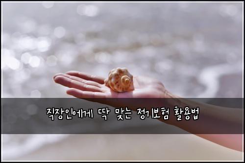 직장인에게 딱 맞는 정기보험 활용법