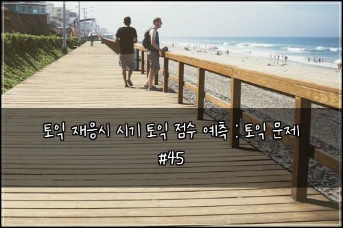 토익 재응시 시기 토익 점수 예측 : 토익 문제 #45