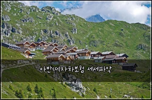 아반떼자차보험 세세파악 
