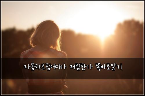 μλ차보νμ΄λκ° μ λ ΄νκ° λλ°λ‘μκΈ°