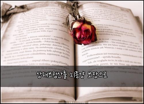 ์ํด๋ณดํ์ฐ์ถ ๋์ข
์ ๋ณด์ฅ์ผ๋ก