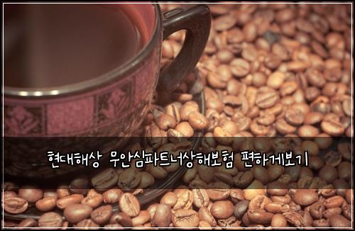 현대해상 무안심파트너상해보험 편하게보기 