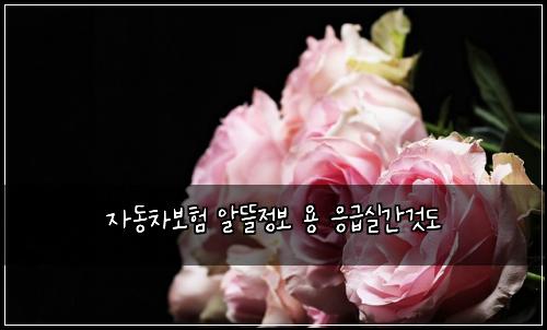 자동차보험 알뜰정보  용 응급실간것도