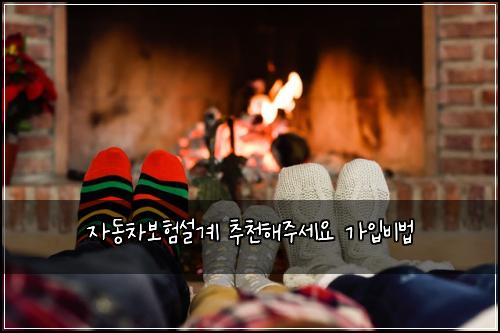 ์๋์ฐจ๋ณดํ์ค๊ณ ์ถ์ฒํด์ฃผ์ธ์ ๊ฐ์
๋น๋ฒ