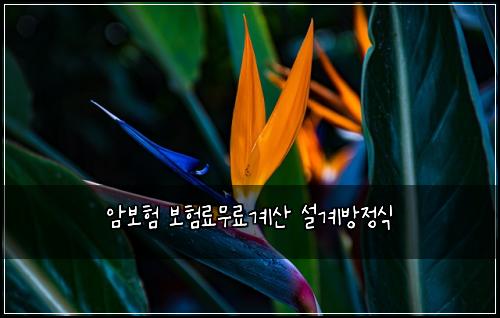 ์๋ณดํ ๋ณดํ๋ฃ๋ฌด๋ฃ๊ณ์ฐ ์ค๊ณ๋ฐฉ์ ์