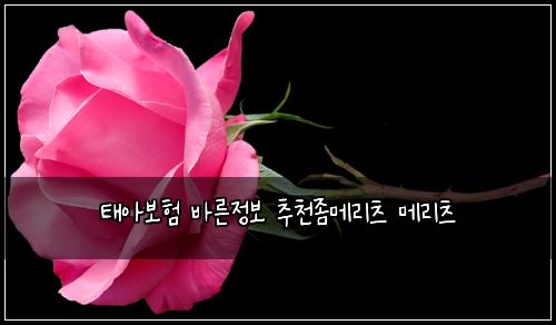 태아보험 바른정보  추천좀메리츠 메리츠