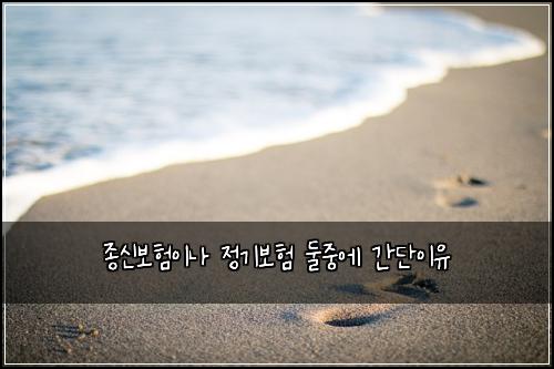 종신보험이나 정기보험 둘중에 간단이유