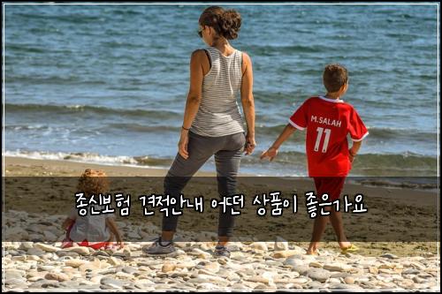 종신보험 견적안내  어떤 상품이 좋은가요