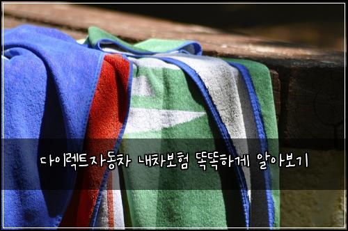 다이렉트자동차 내차보험 똑똑하게 알아보기