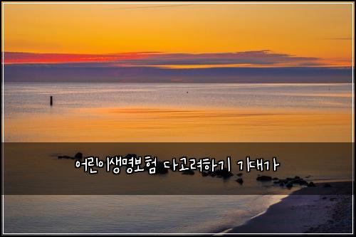 어린이생명보험 다고려하기  기대가